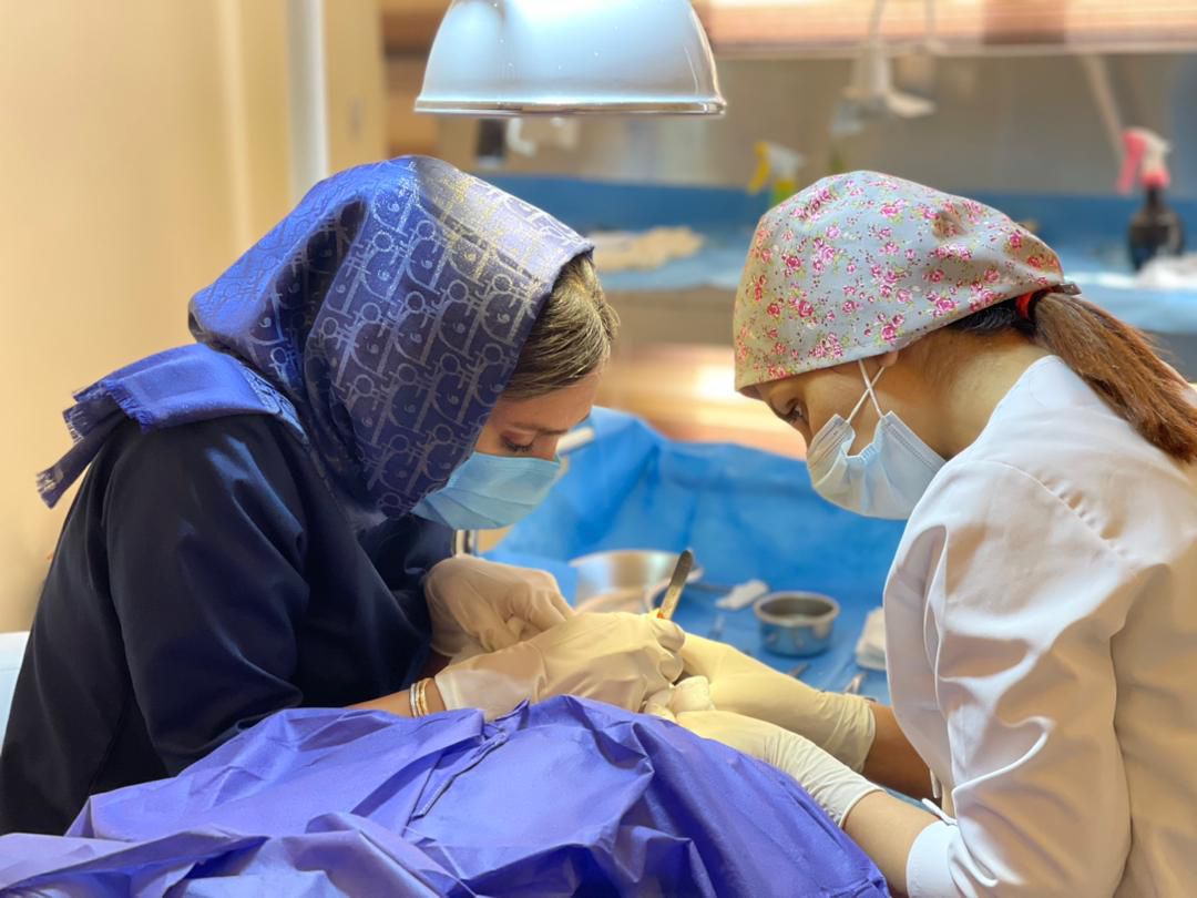 بهترین رژیم غذایی قبل و بعد از کاشت مو